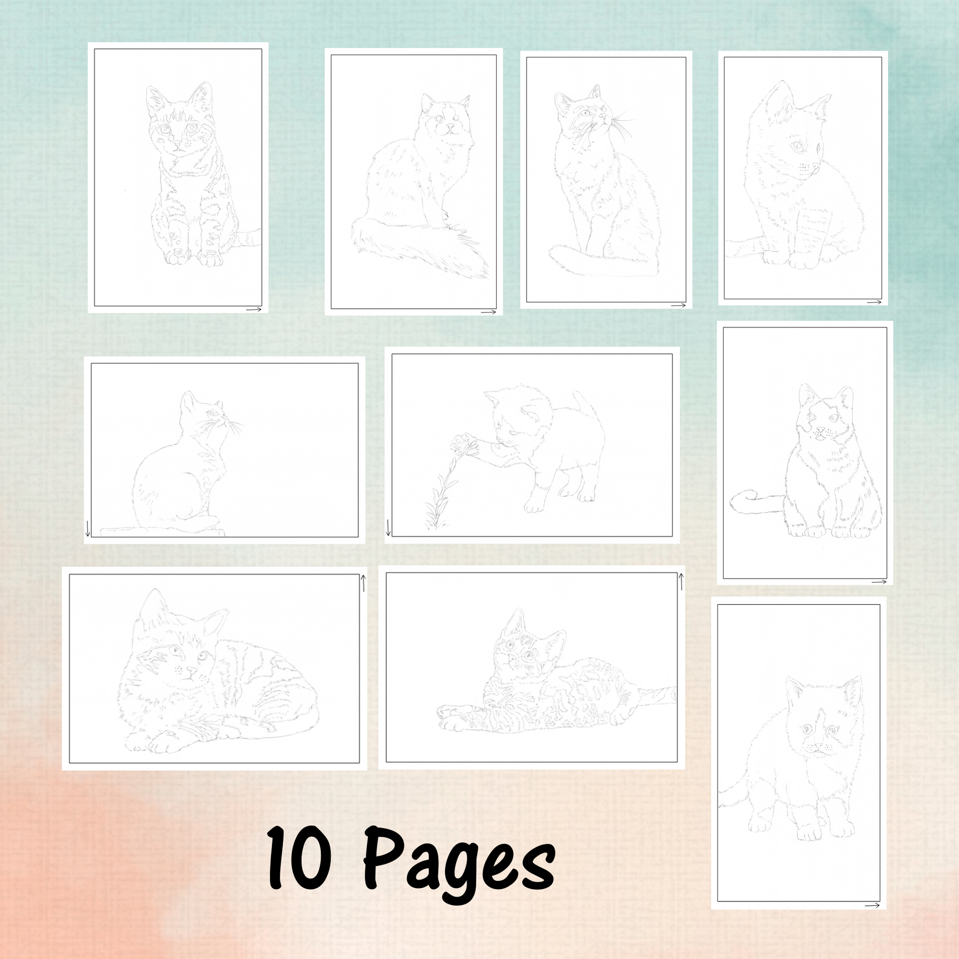 watercolor workbook pages of cute cats