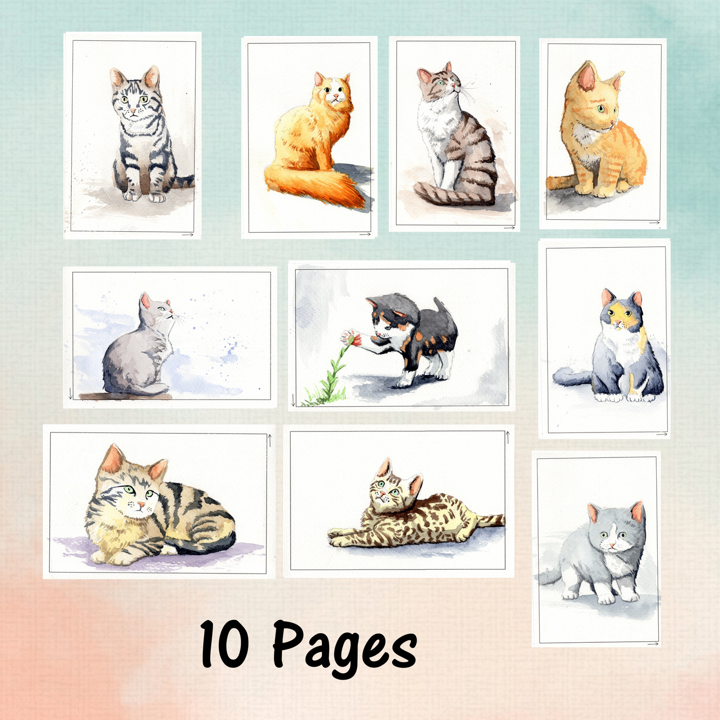 painted watercolor workbook pages of cute cats