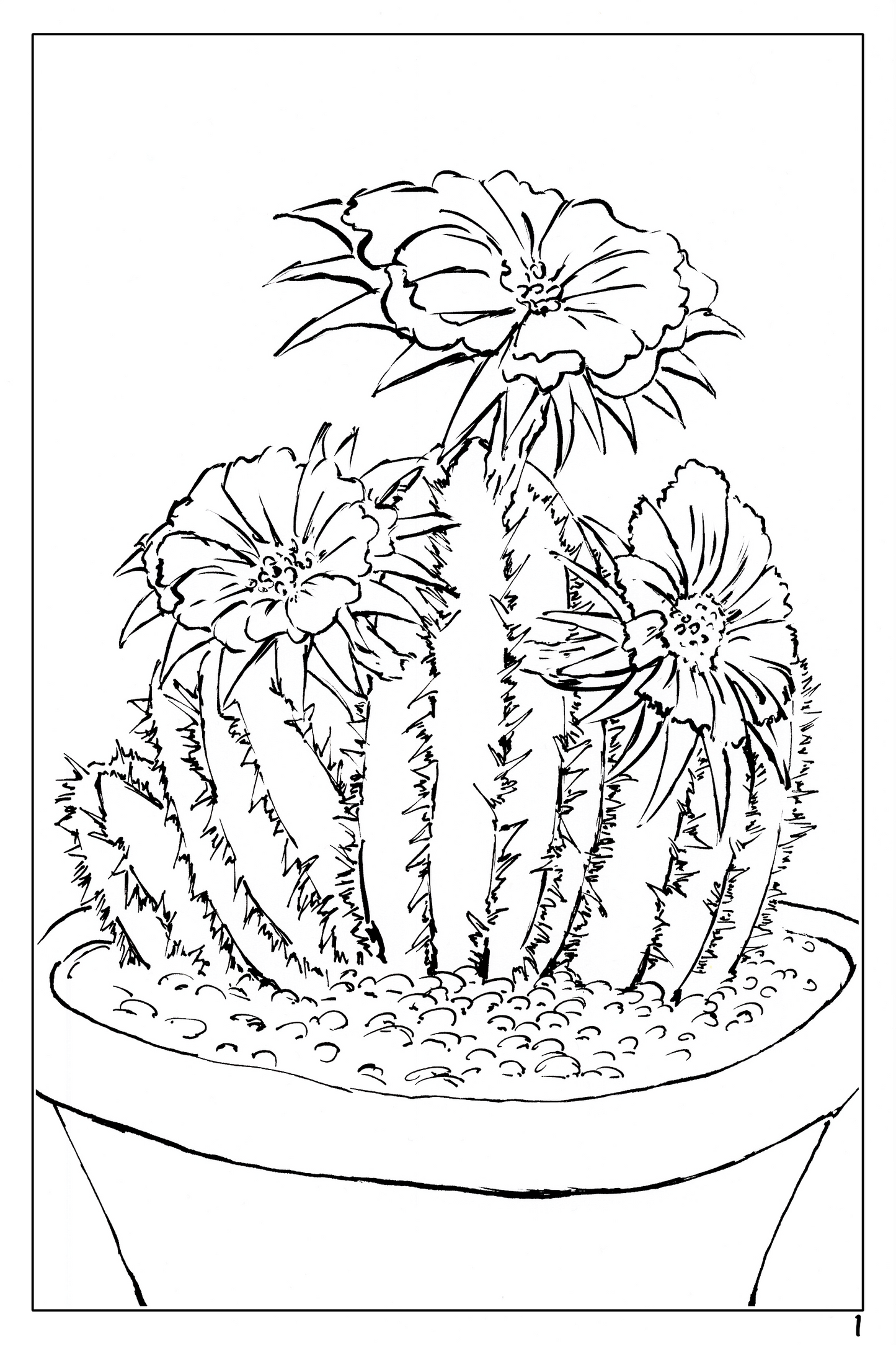 Plants and Flowers themed watercolor coloring book