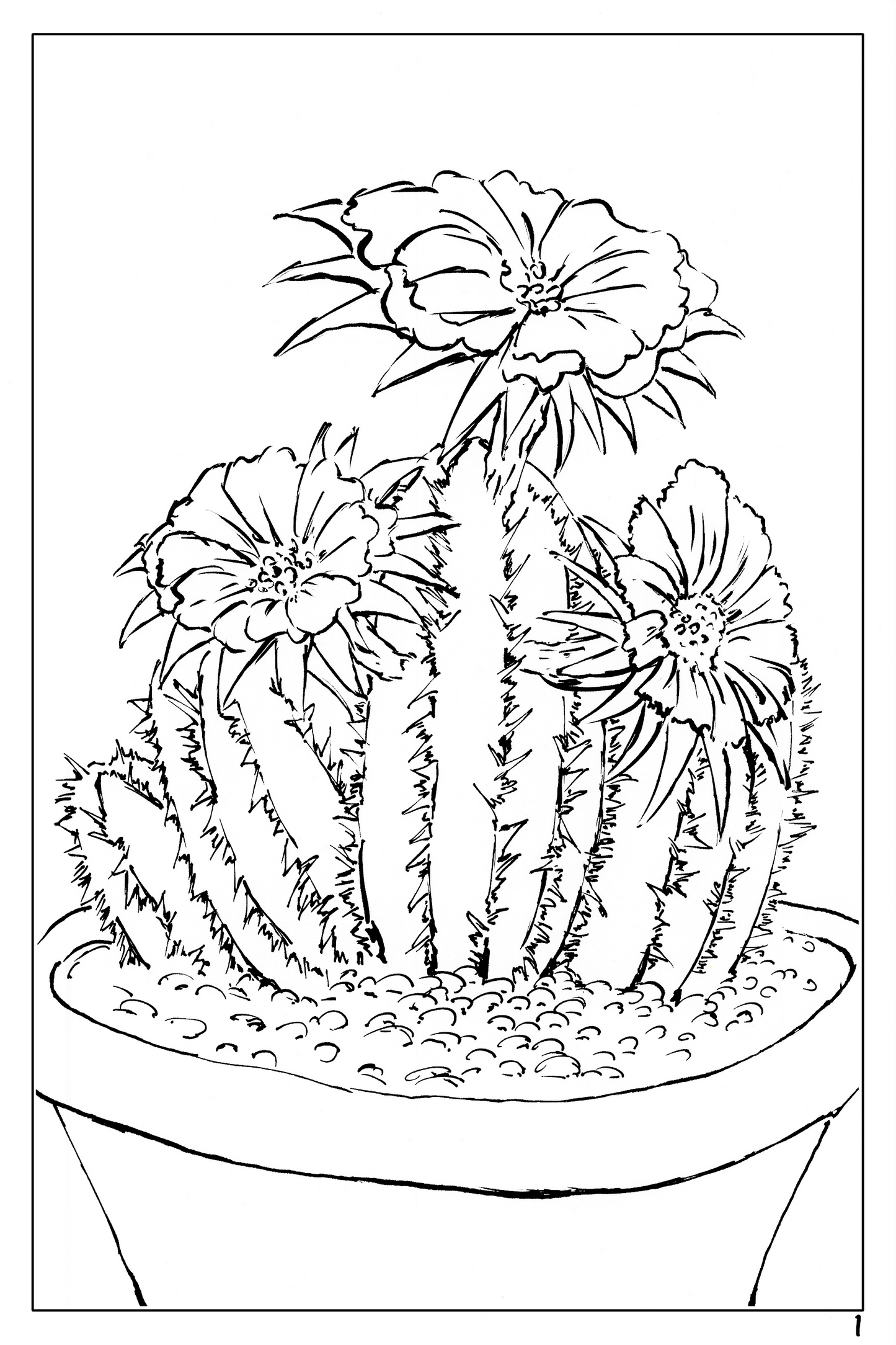 watercolor flower workbook page 1, coloring page of a blooming cactus 