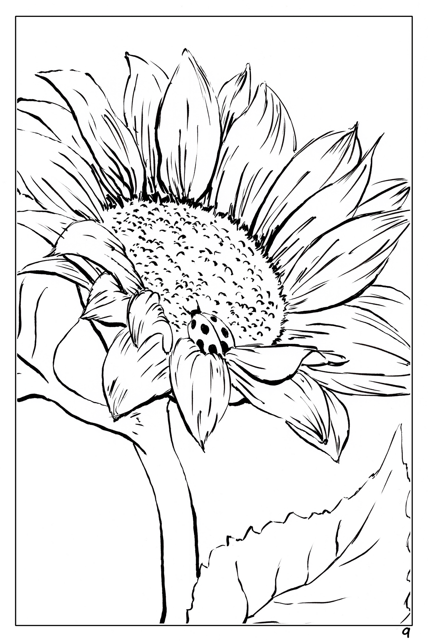 Plants and Flowers themed watercolor coloring book