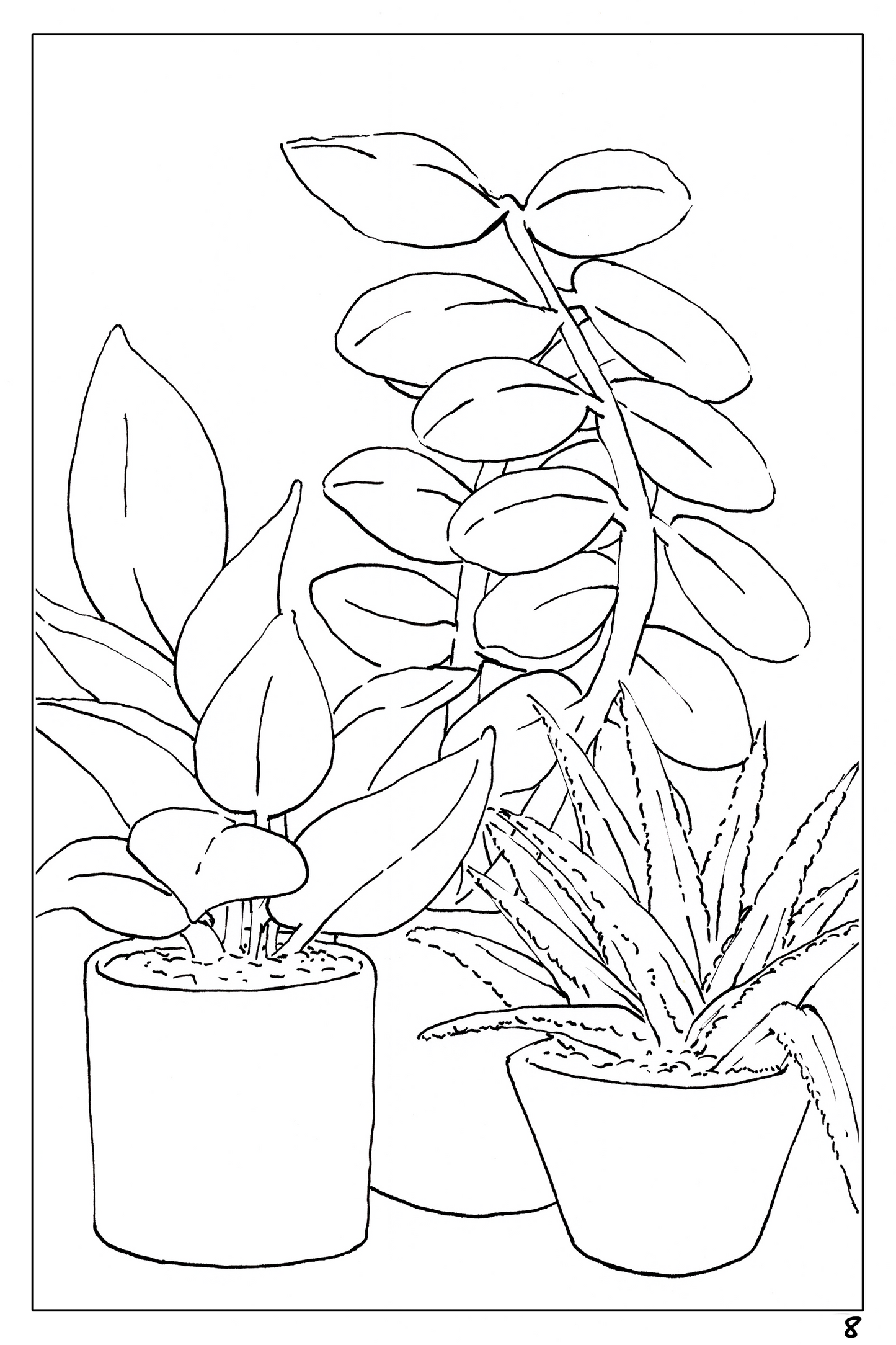 watercolor workbook page 8, coloring page of a rubber plant and an aloe vera plant 