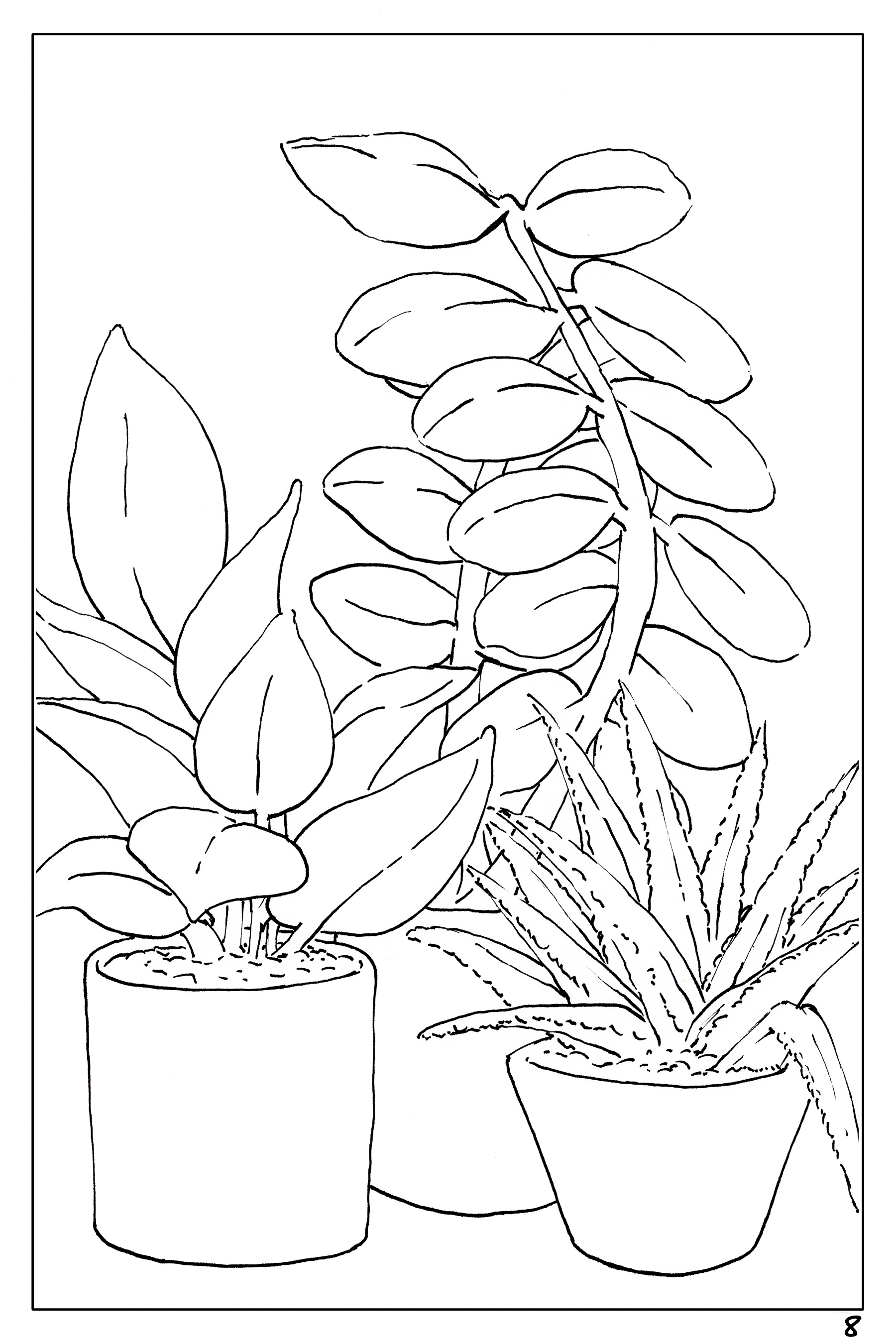 watercolor workbook page 8, coloring page of a rubber plant and an aloe vera plant 