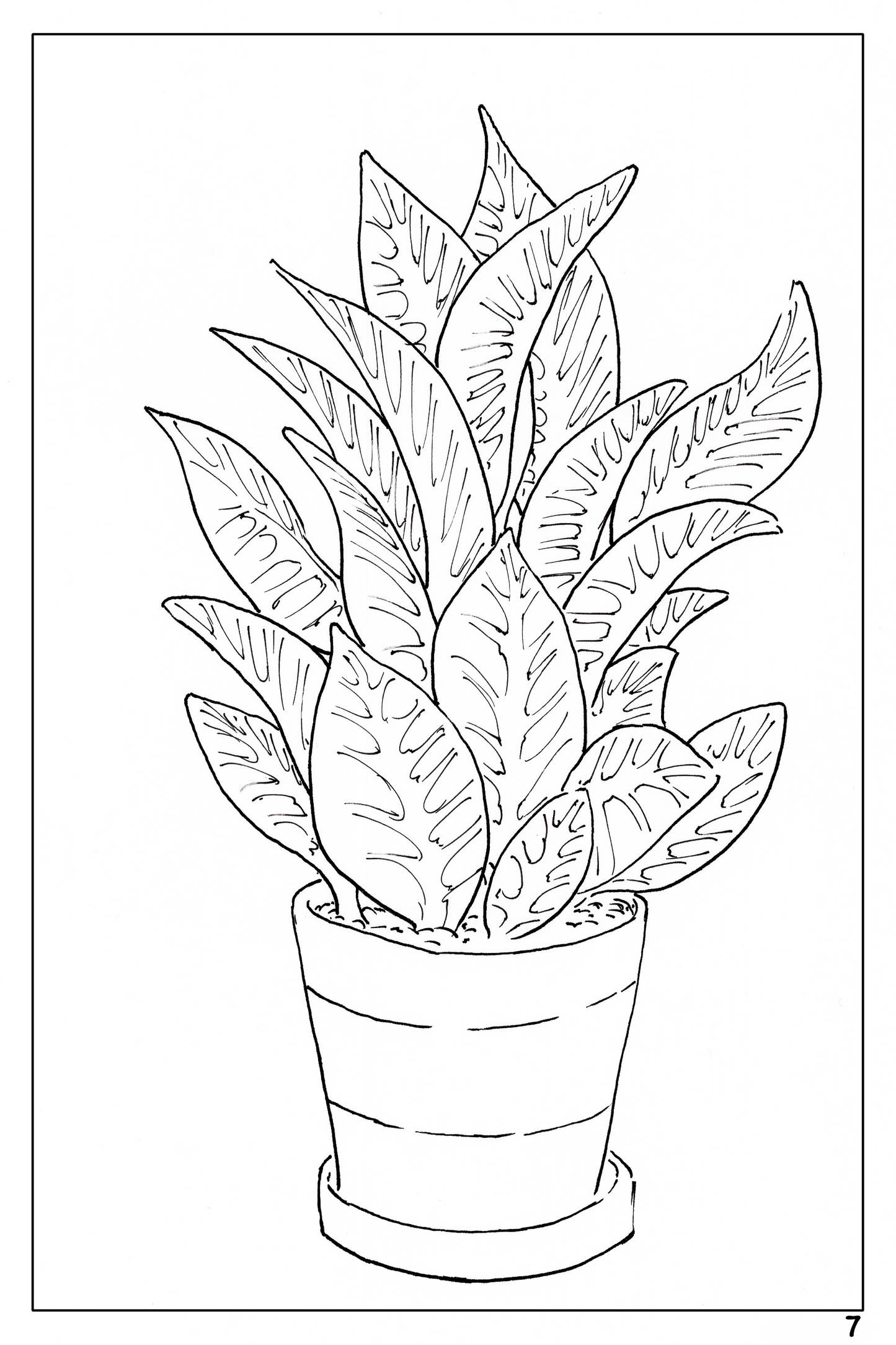 watercolor flower workbook page 7, coloring page of a potted croton plant 
