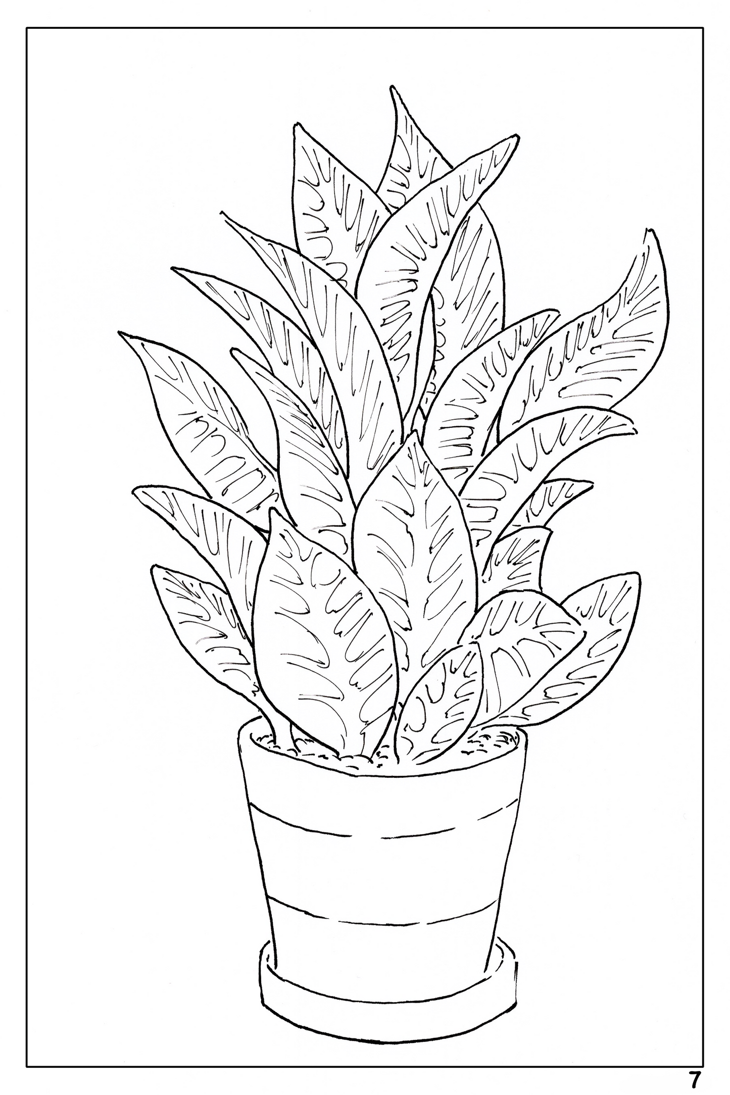 Plants and Flowers themed watercolor coloring book