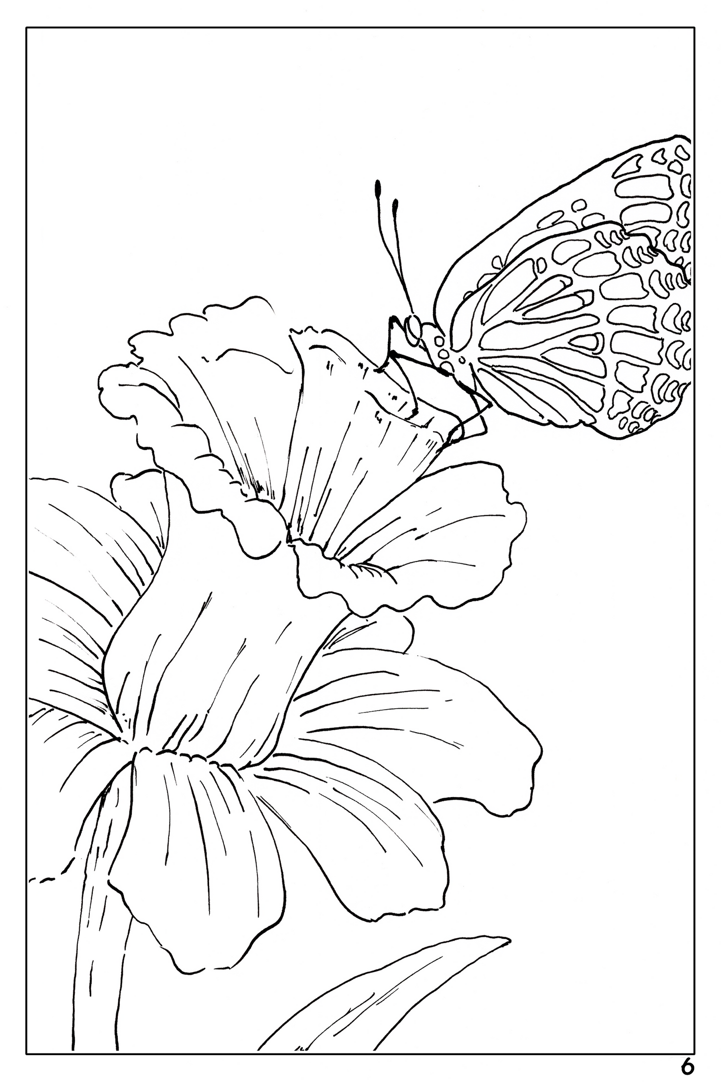 watercolor flower workbook page 6, coloring page of a butterfly on a daffodil 