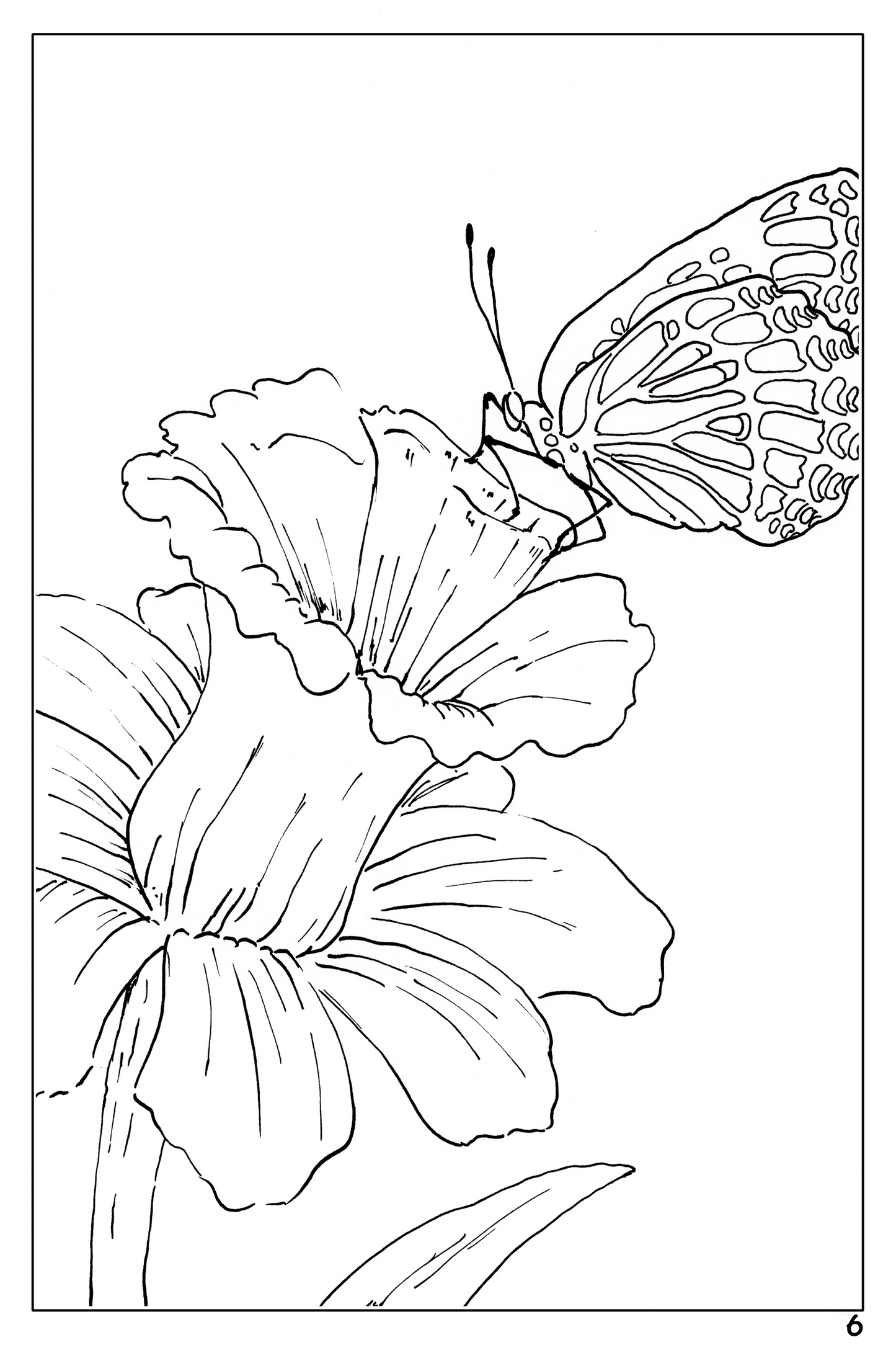 Plants and Flowers themed watercolor coloring book