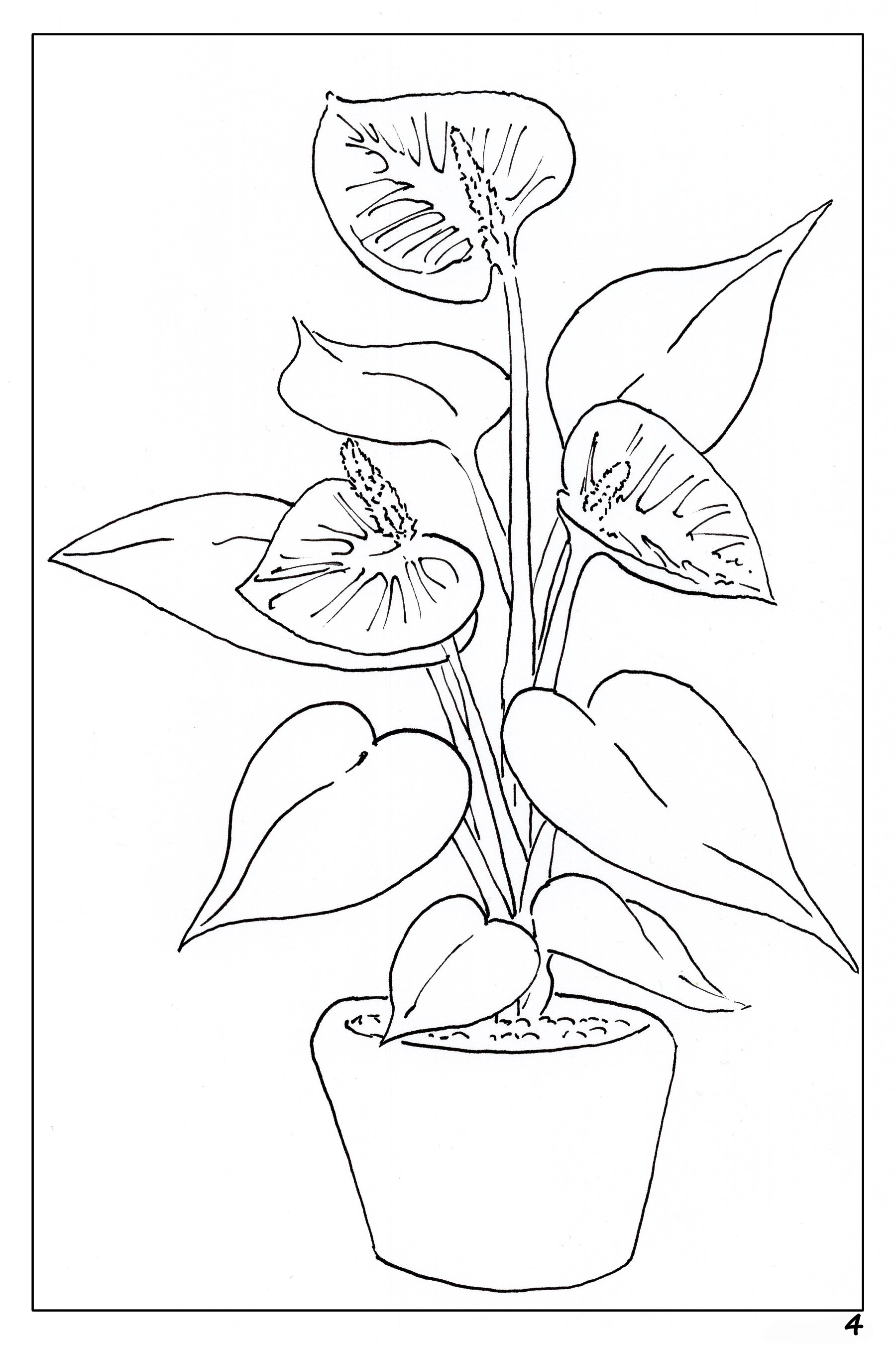 anthurium coloring page Plants & Flowers Watercolor Book – Let Your Creativity Bloom! – Wondering Watercolor