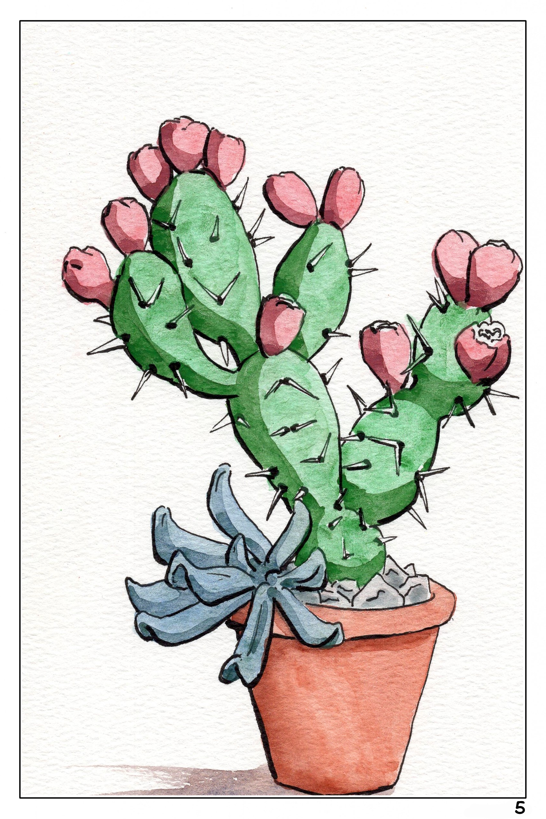 watercolor painting of a cactus with a succulent 