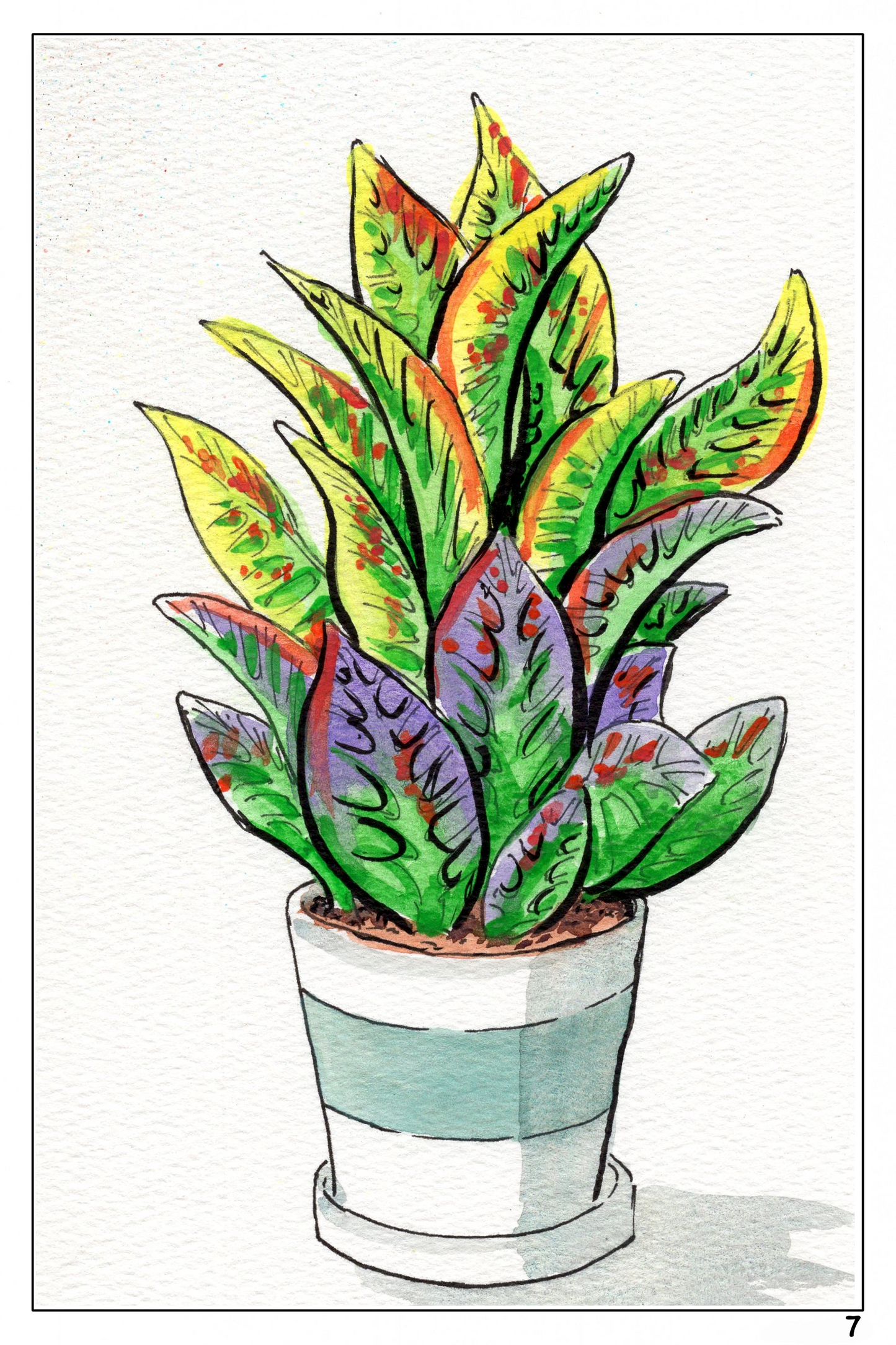 Plants and Flowers themed watercolor coloring book