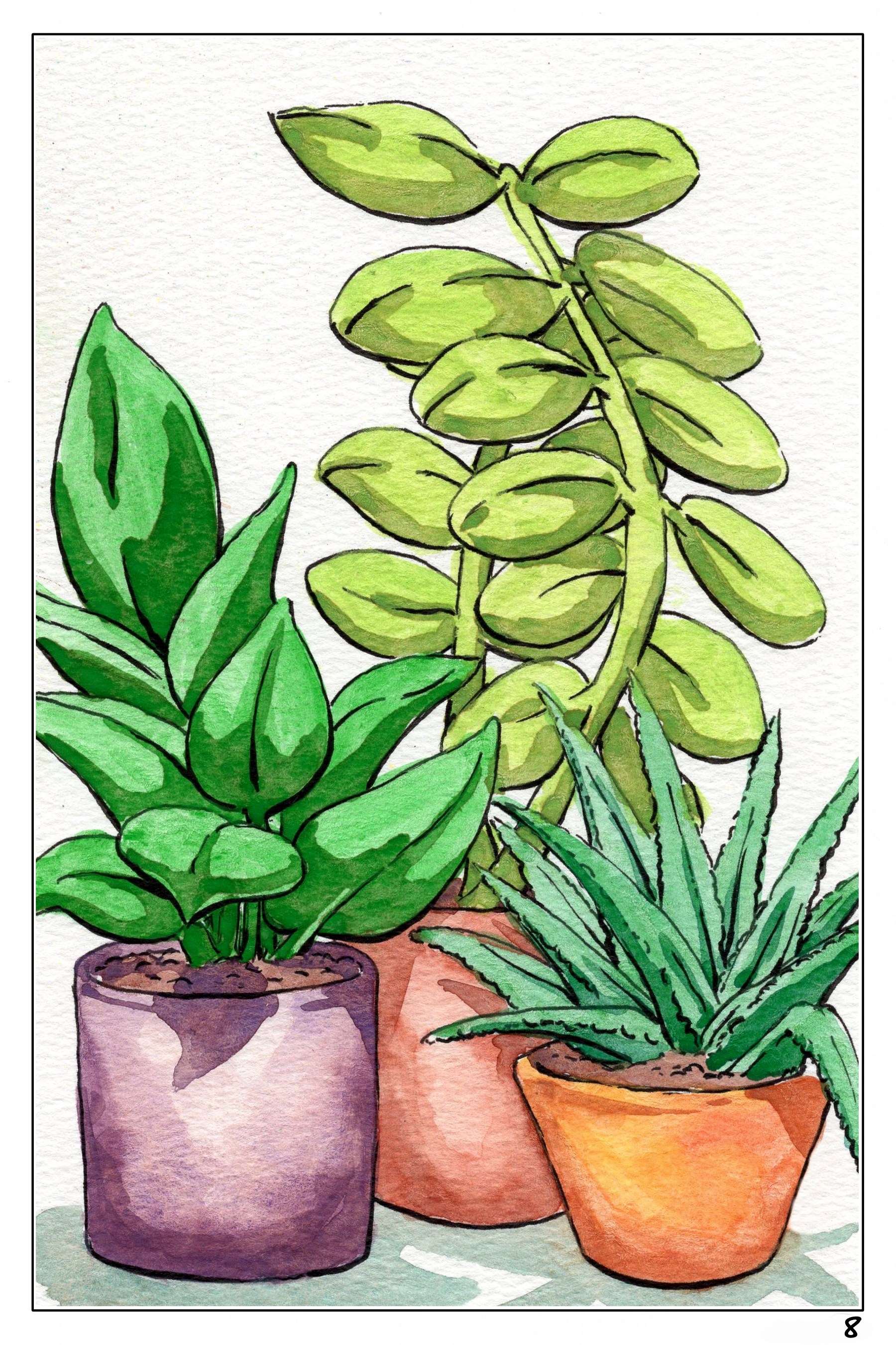 watercolor indoor plants Plants & Flowers Watercolor Book – Let Your Creativity Bloom! – Wondering Watercolor