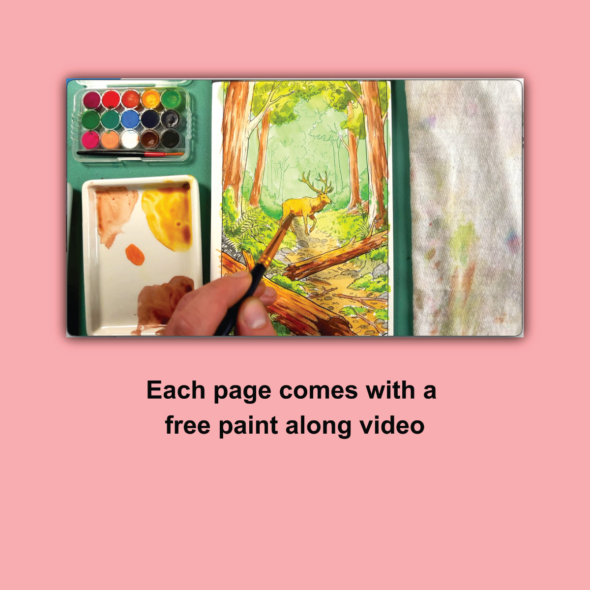 Forest Scenery Watercolor Coloring Book