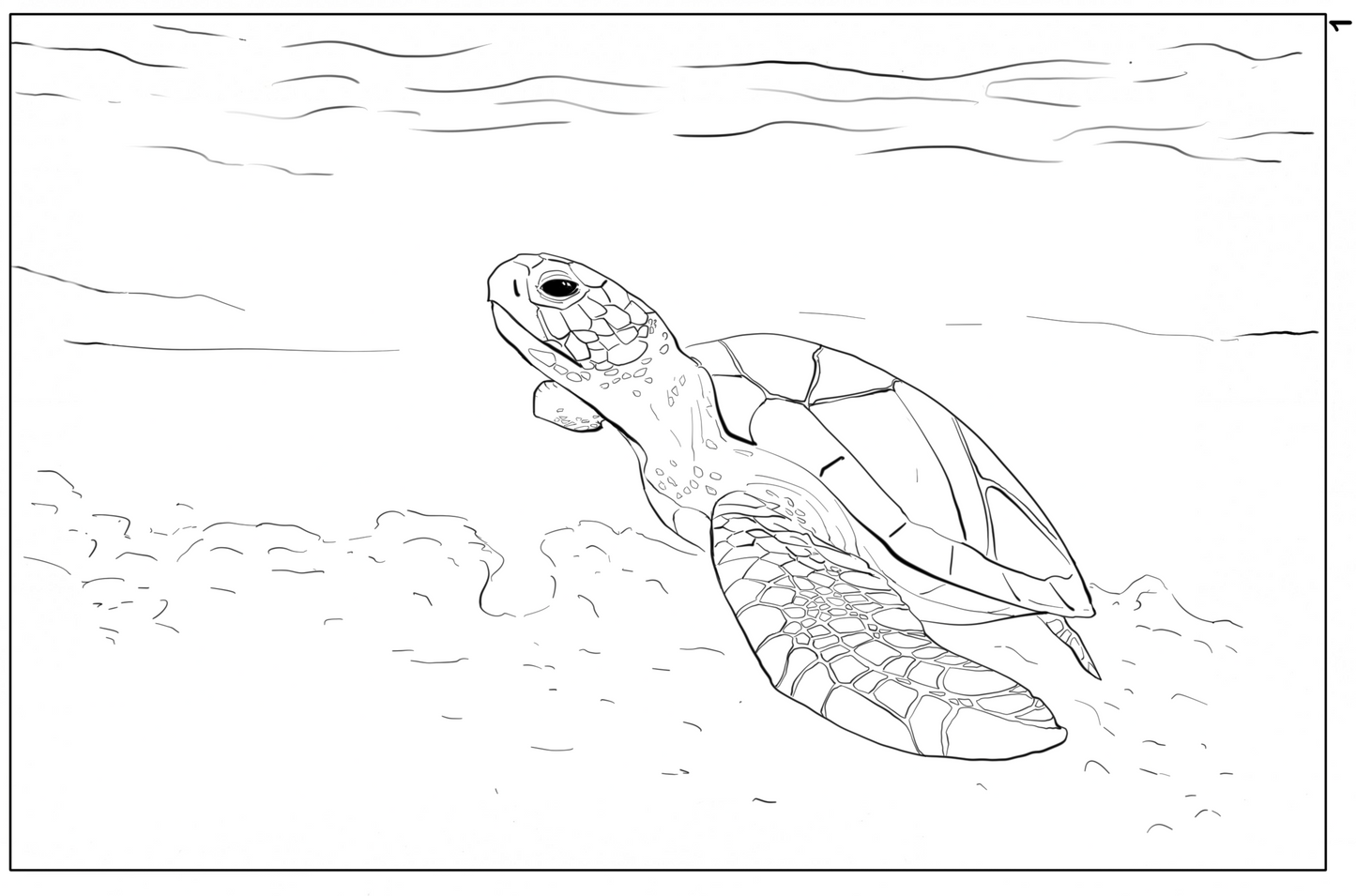 Ocean Life Watercolor Book – Dive into Creativity!