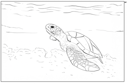 Ocean Life Watercolor Book – Dive into Creativity!