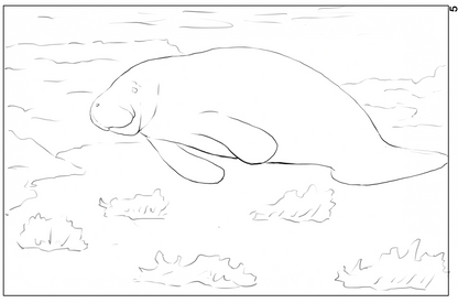 Ocean Life Watercolor Book – Dive into Creativity!