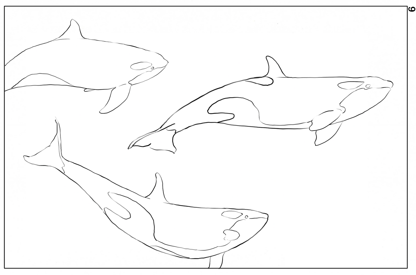 Ocean Life Watercolor Book – Dive into Creativity!