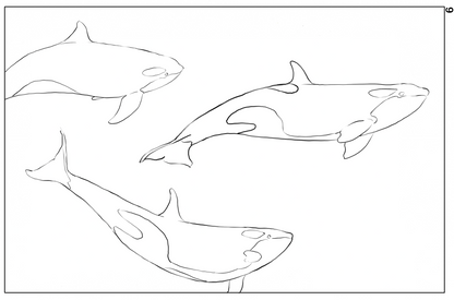Ocean Life Watercolor Book – Dive into Creativity!