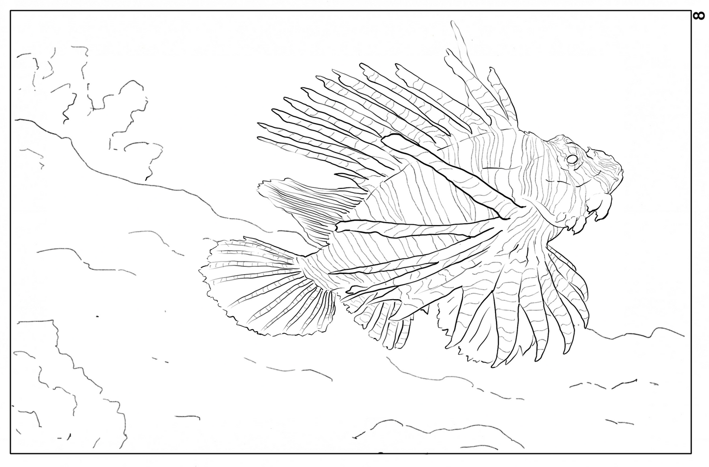Ocean Life Watercolor Book – Dive into Creativity!