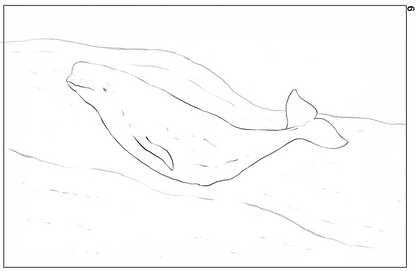Ocean Life Watercolor Book – Dive into Creativity!
