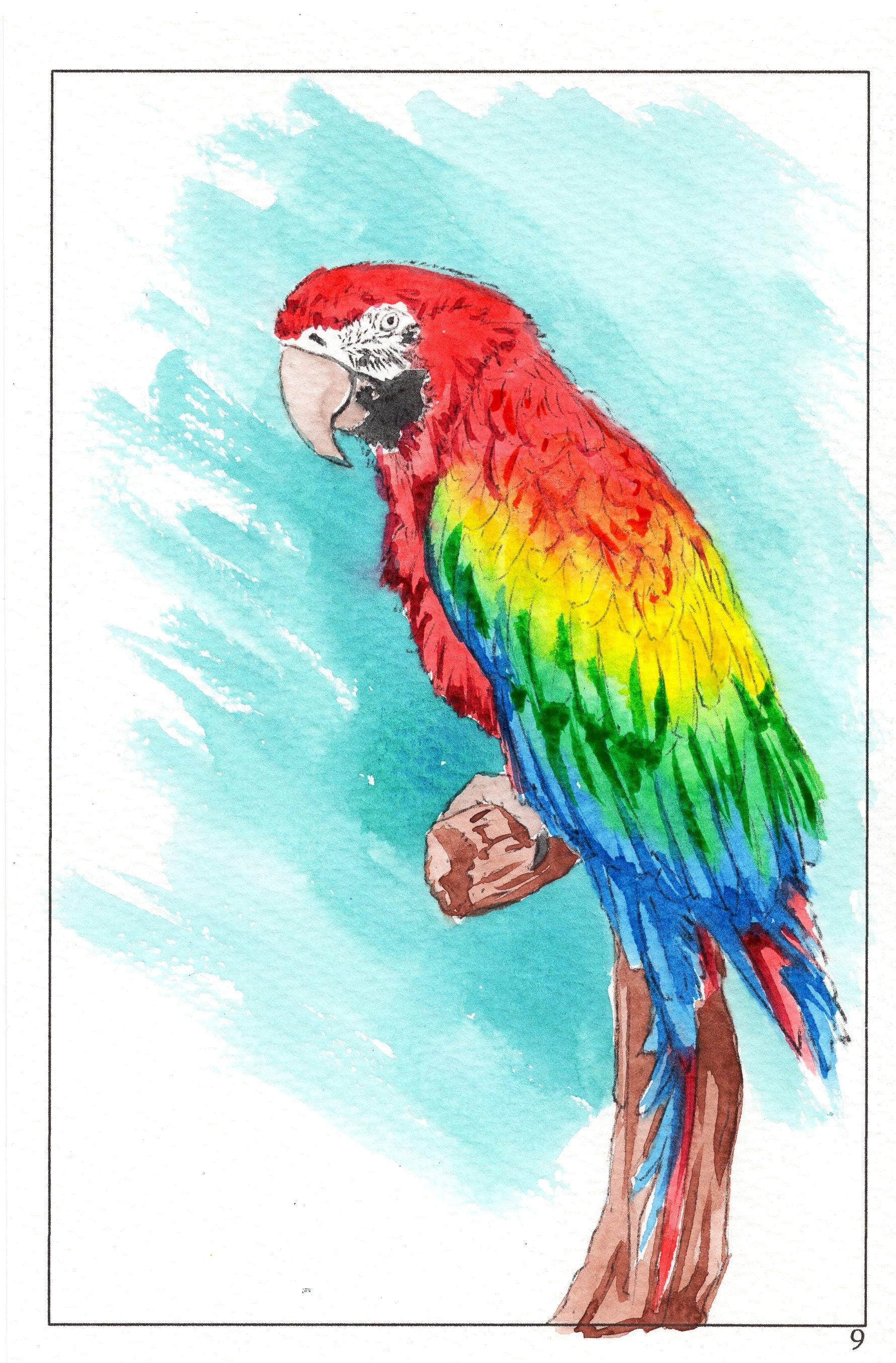 watercolor painting of watercolor workbook page 9, fully watercolor painted a rainbow parrot