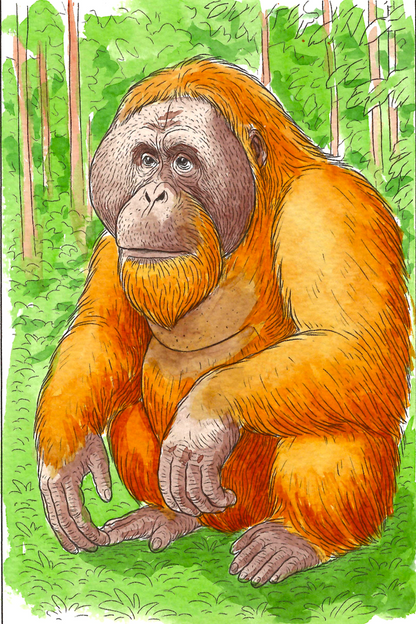 Jungle Animals Watercolor Coloring Book