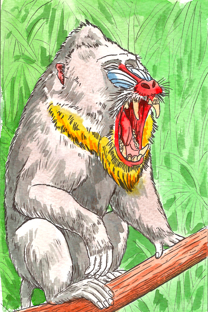 Jungle Animals Watercolor Coloring Book