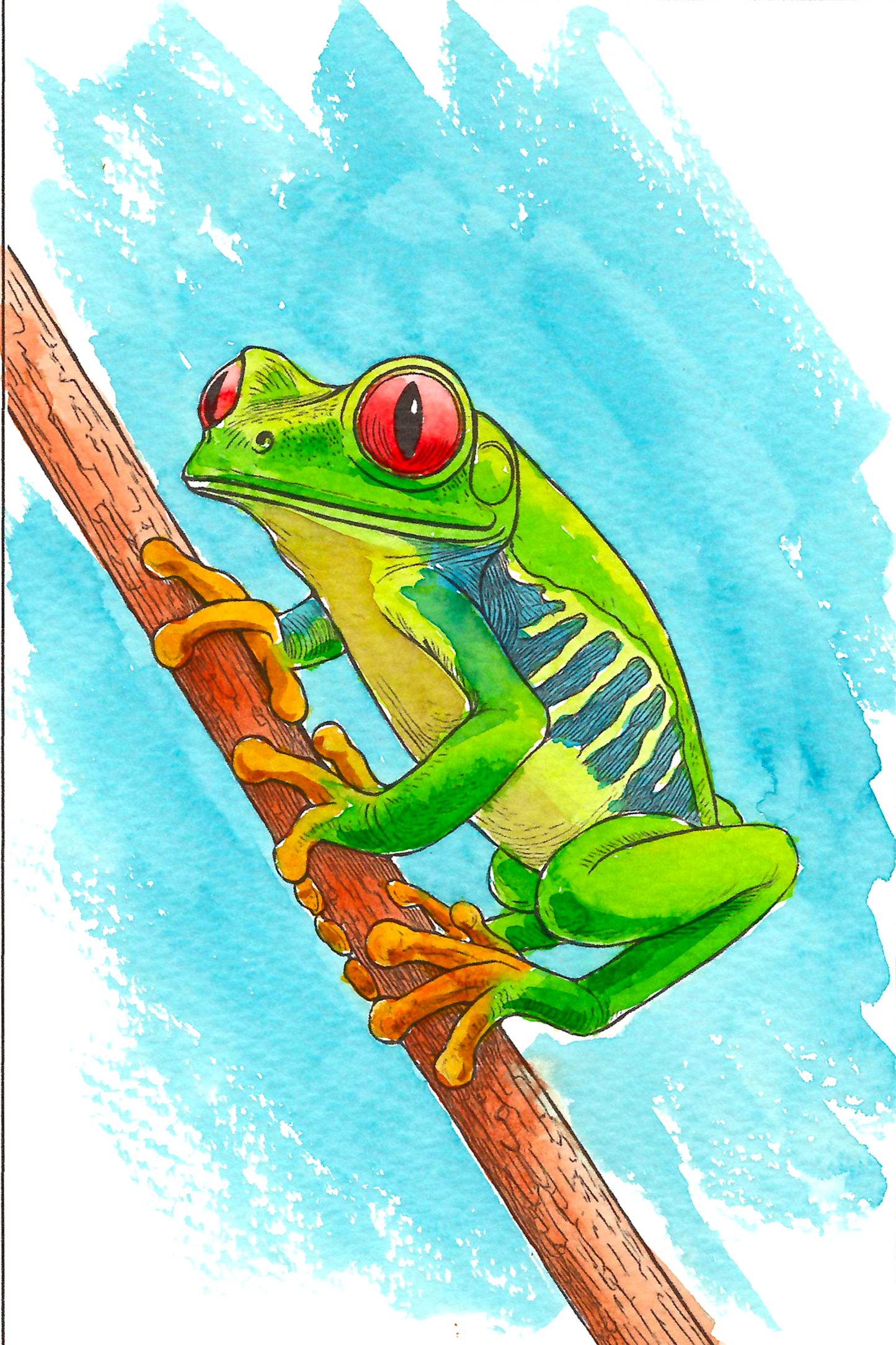 Jungle Animals Watercolor Coloring Book