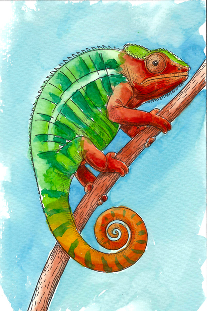 Jungle Animals Watercolor Coloring Book