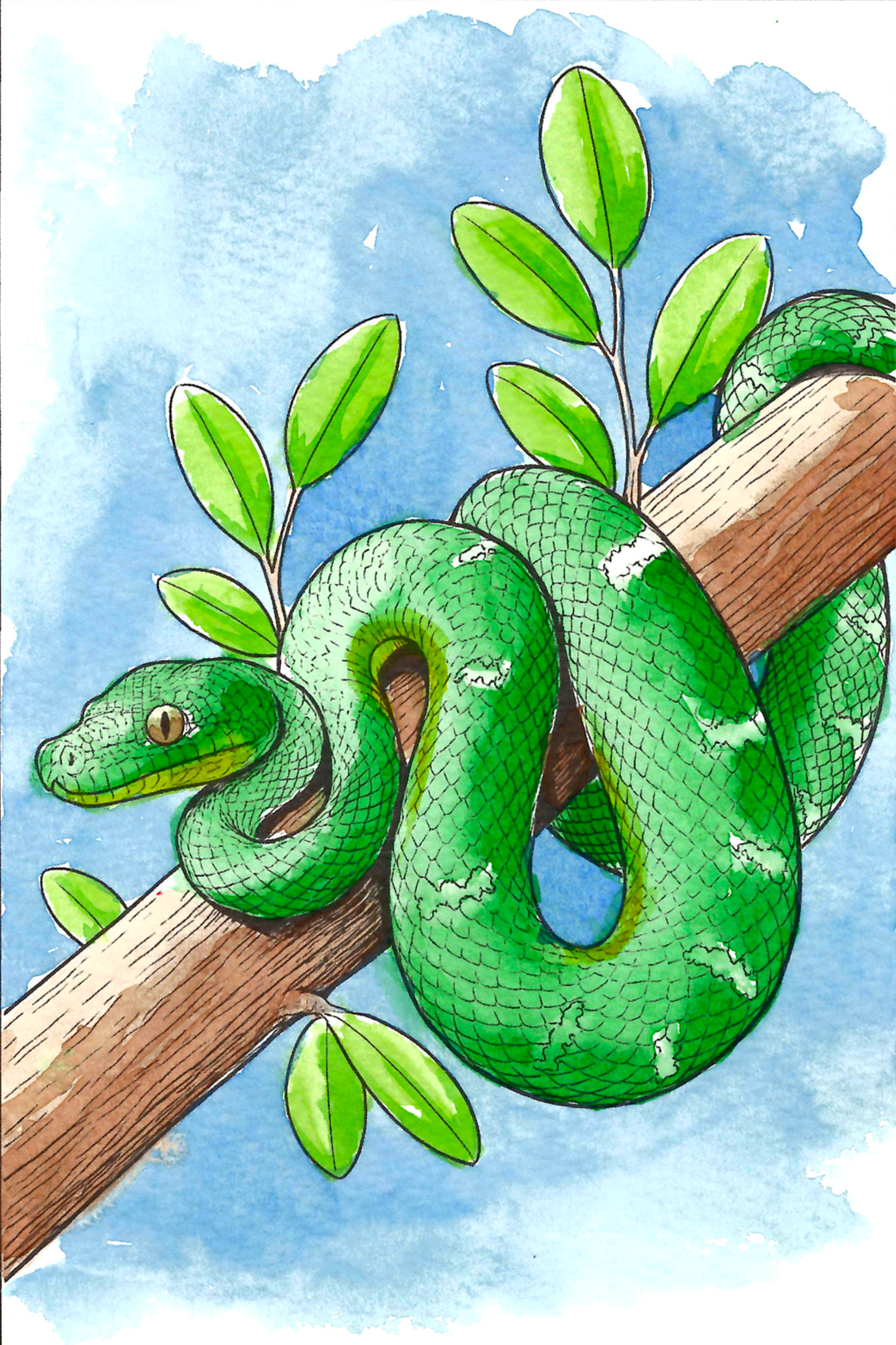 Jungle Animals Watercolor Coloring Book
