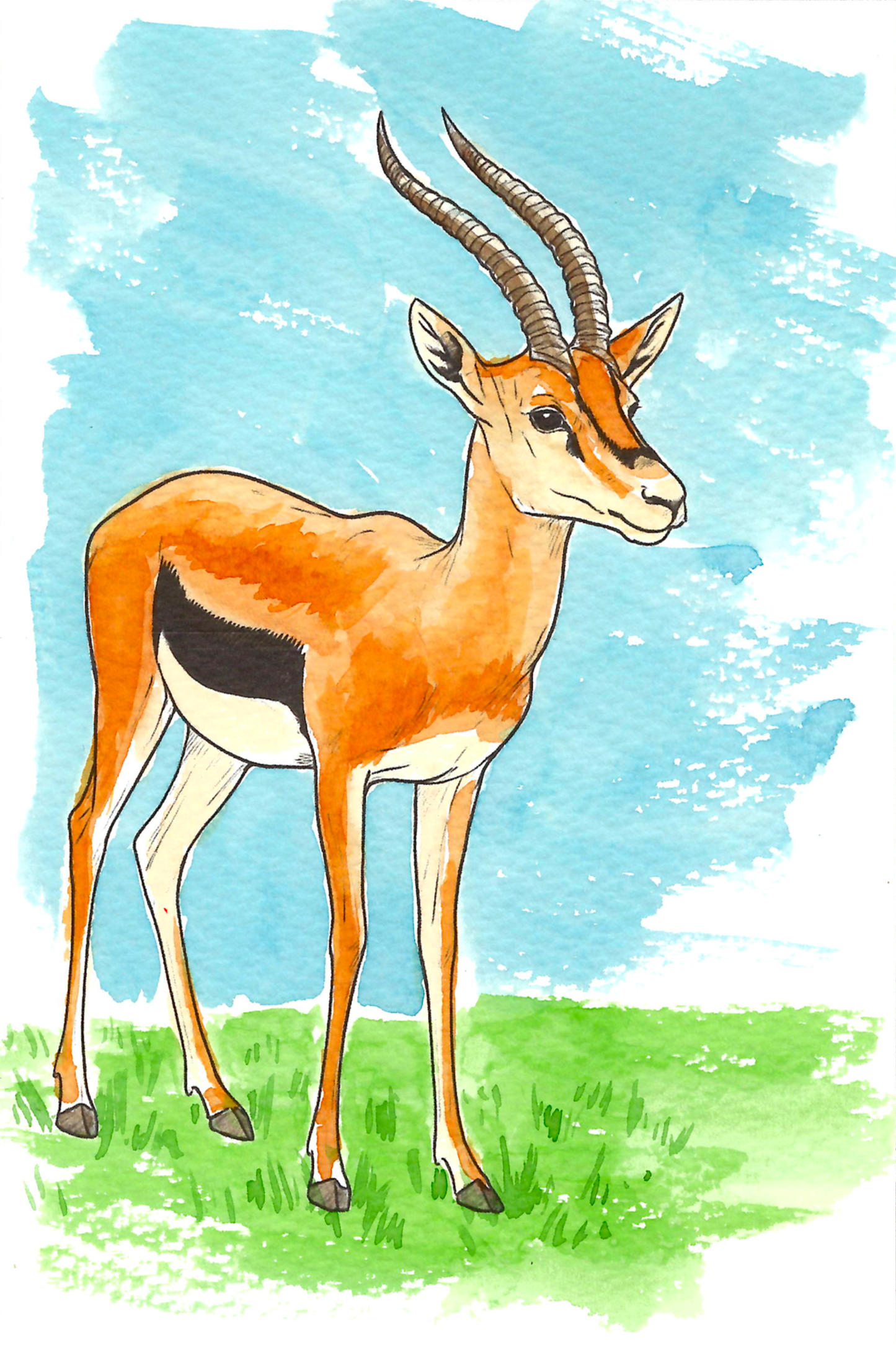 Jungle Animals Watercolor Coloring Book