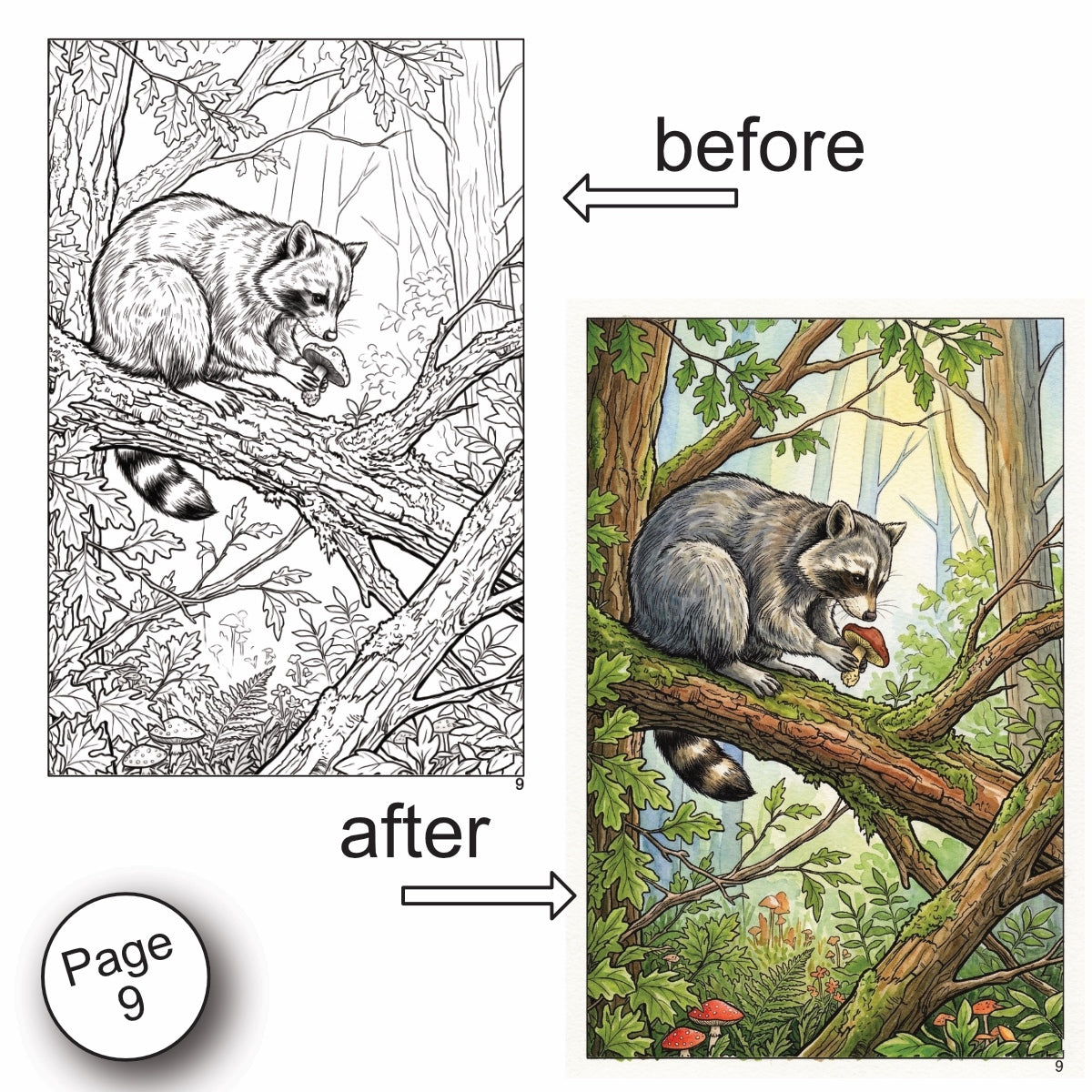Forest Scenery Watercolor Coloring Book