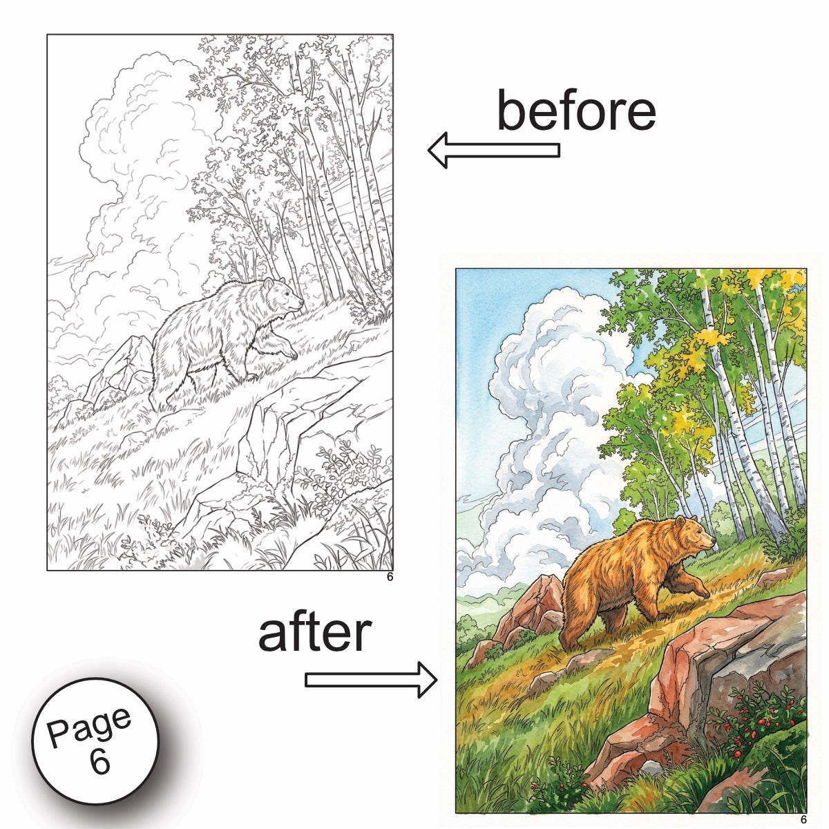 Forest Scenery Watercolor Coloring Book