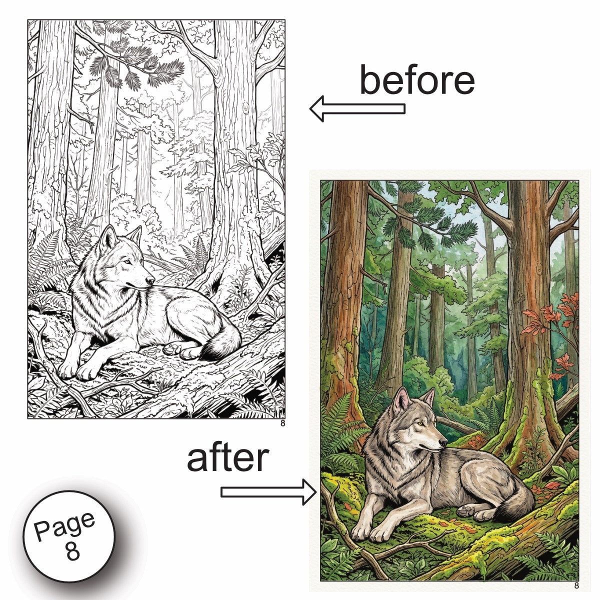 Forest Scenery Watercolor Coloring Book