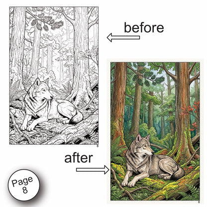 Forest Scenery Watercolor Coloring Book
