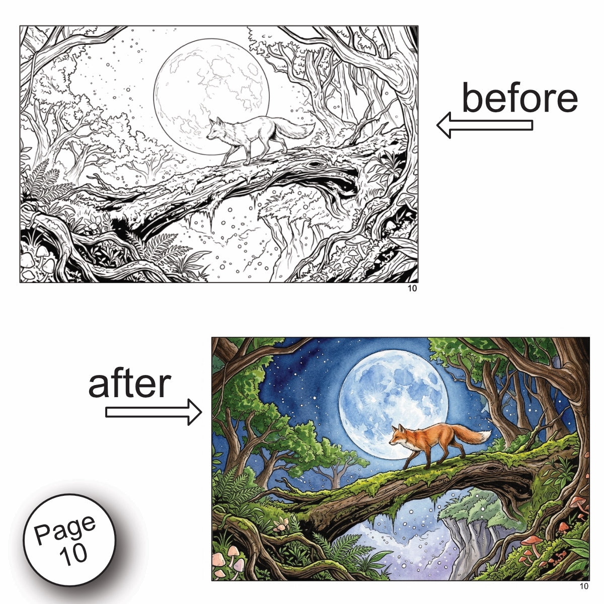 Forest Scenery Watercolor Coloring Book