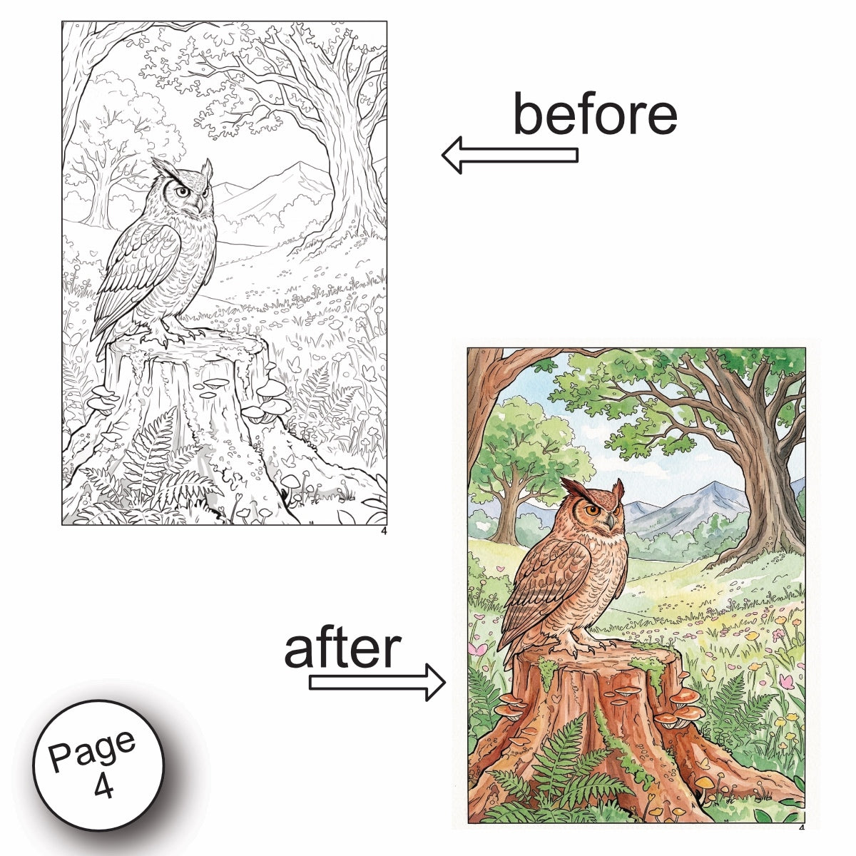 Forest Scenery Watercolor Coloring Book