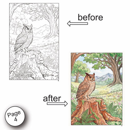 Forest Scenery Watercolor Coloring Book