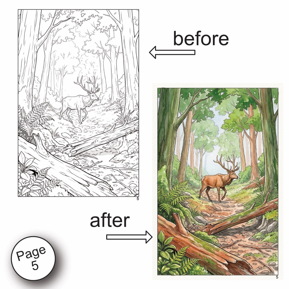 Forest Scenery Watercolor Coloring Book