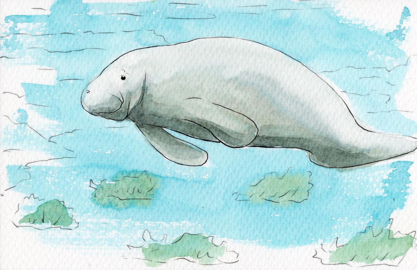 Ocean Life Watercolor Book – Dive into Creativity!