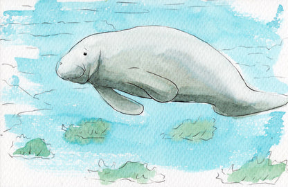 Ocean Life Watercolor Book – Dive into Creativity!
