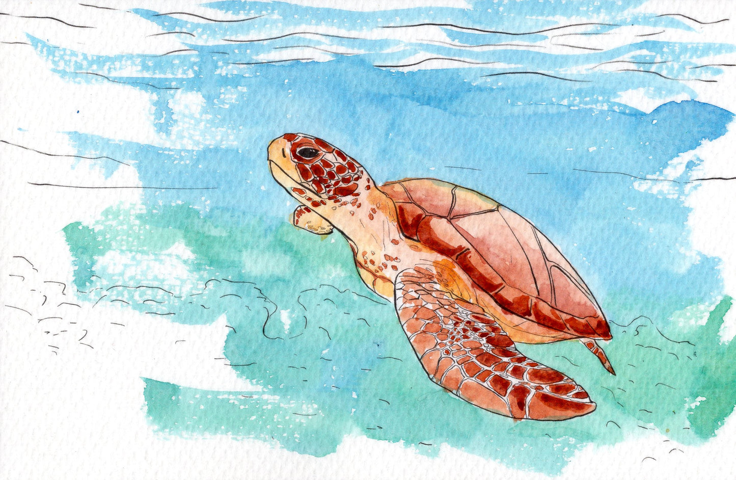 Ocean Life Watercolor Book – Dive into Creativity!