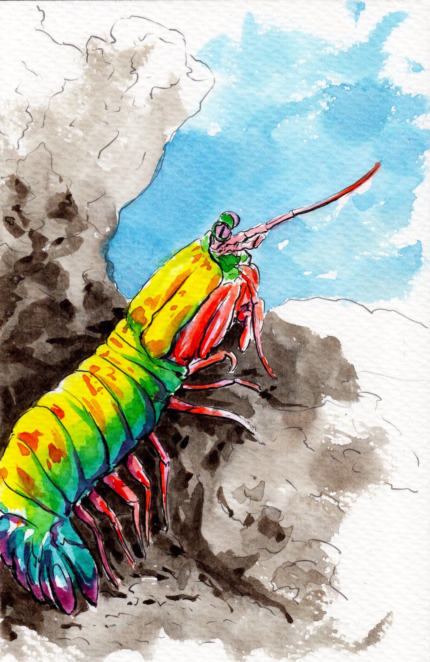 Ocean Life Watercolor Book – Dive into Creativity!