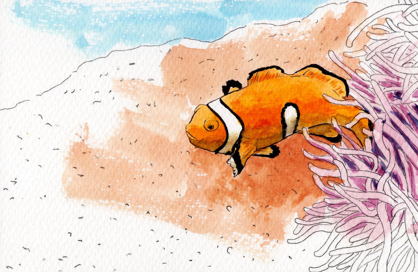 Ocean Life Watercolor Book – Dive into Creativity!