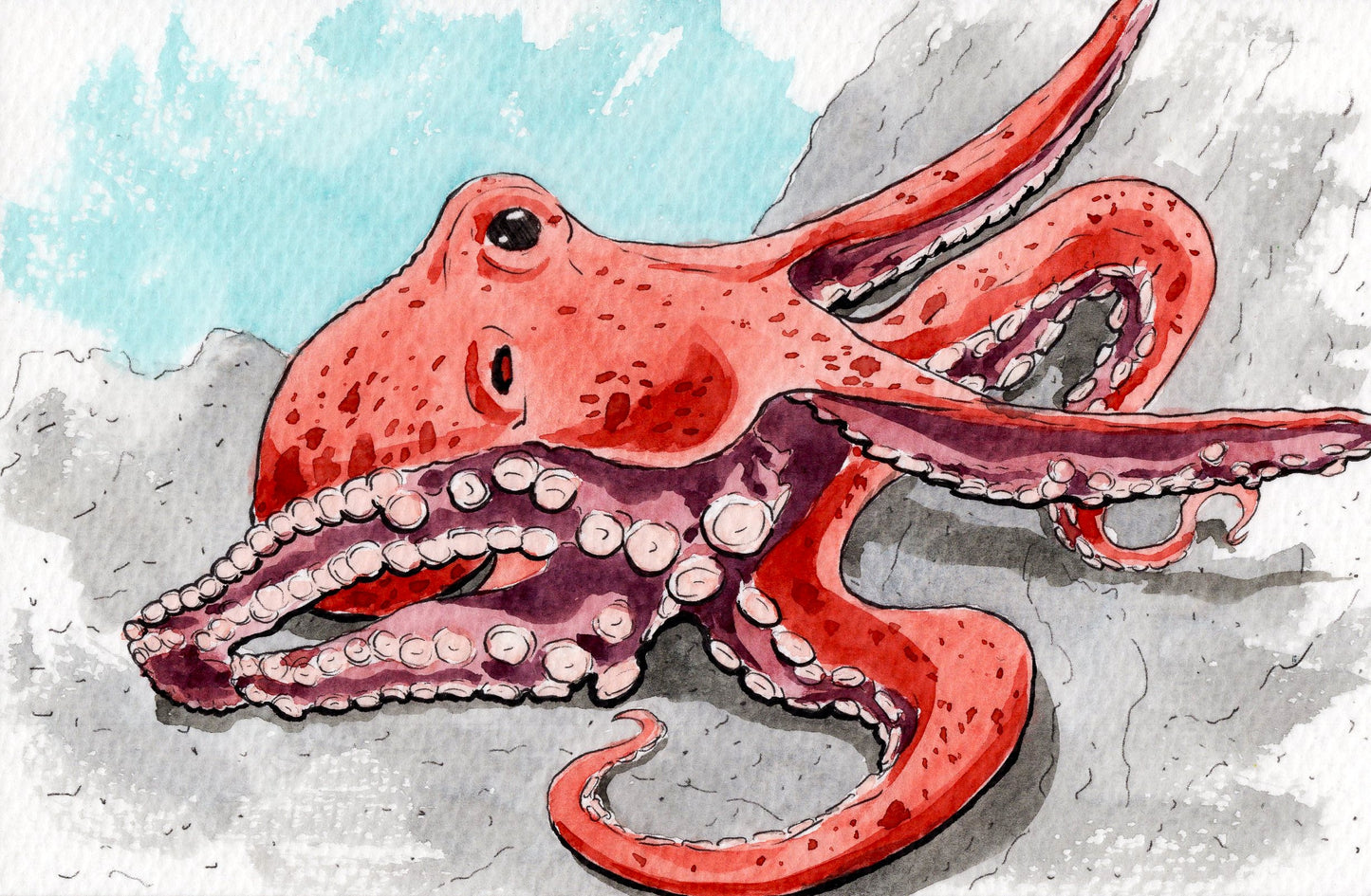 Ocean Life Watercolor Book – Dive into Creativity!