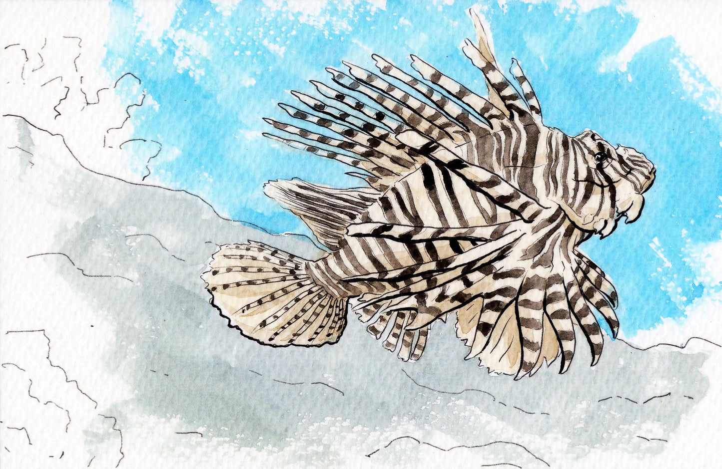 Ocean Life Watercolor Book – Dive into Creativity!