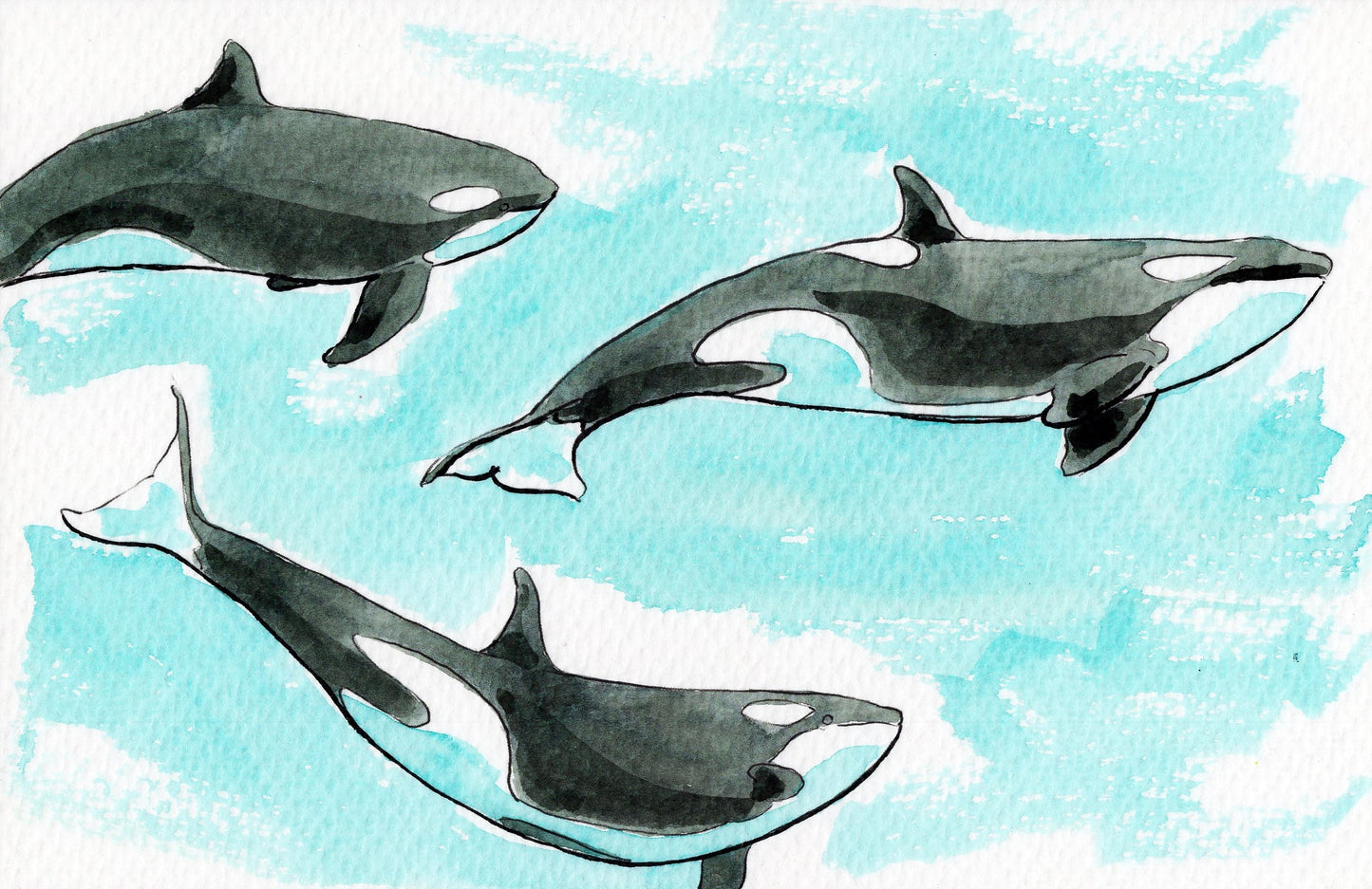 Ocean Life Watercolor Book – Dive into Creativity!