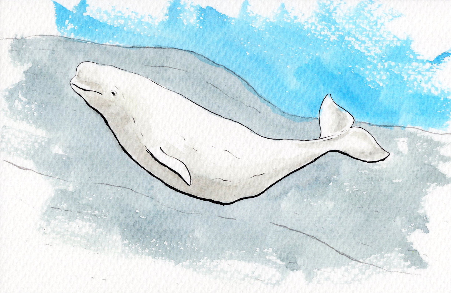 Ocean Life Watercolor Book – Dive into Creativity!