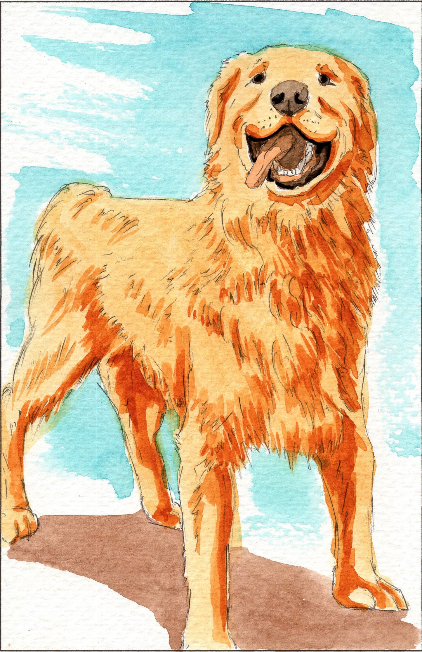 Cute Dog Watercoloring book