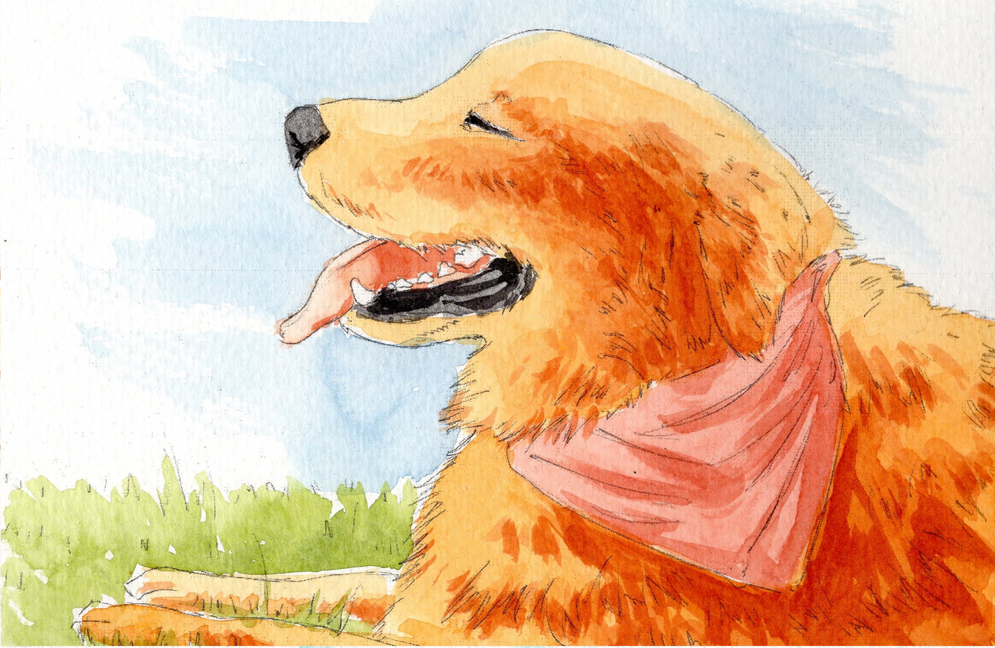 Cute Dog Watercoloring book