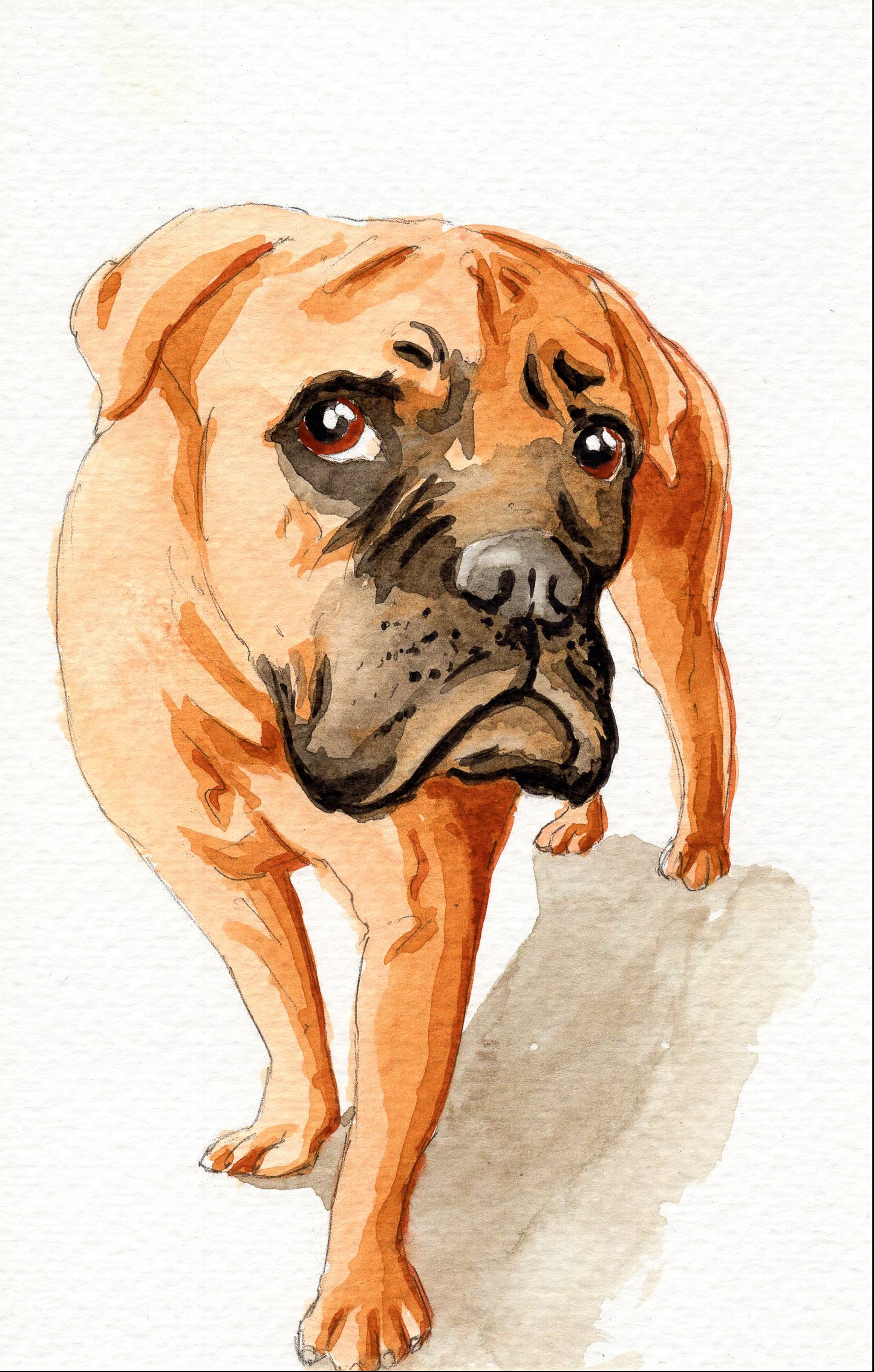 Cute Dog Watercoloring book